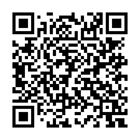 QR code for 421NES