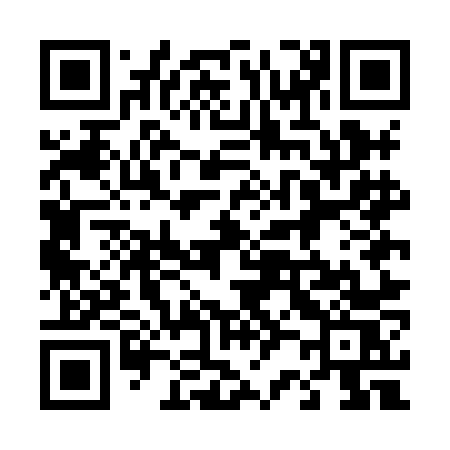 QR code for 425HNS
