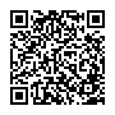 QR code for 425INV