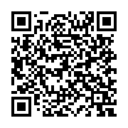 QR code for 425MXS