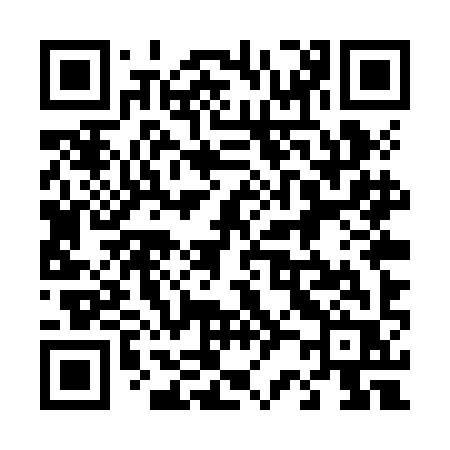 QR code for 425ZIR