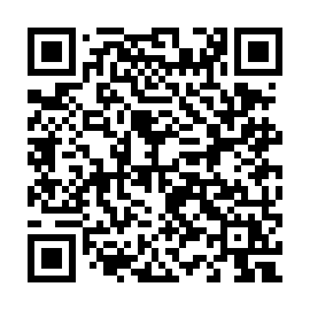 QR code for 433DMX