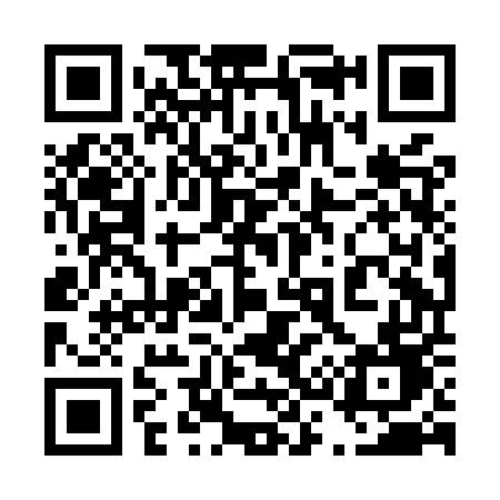 QR code for 438MUD