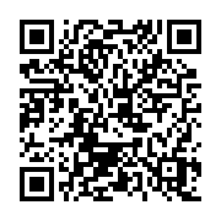 QR code for 458BSV