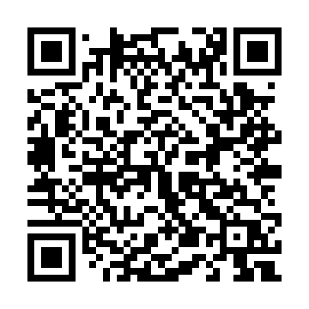 QR code for 458PVP