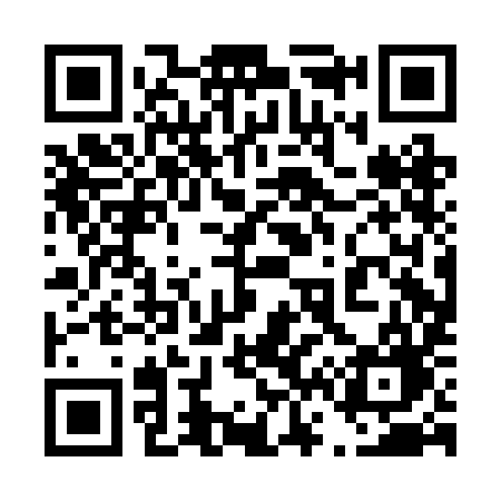 QR code for 460BIG