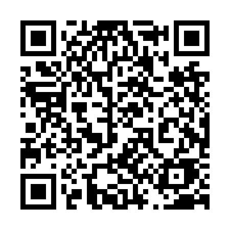 QR code for 460NSE