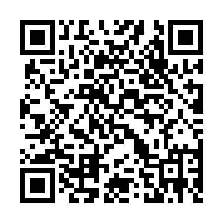 QR code for 460QAM