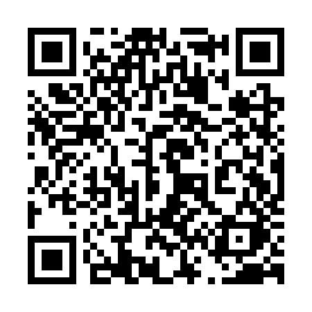 QR code for 461CZK