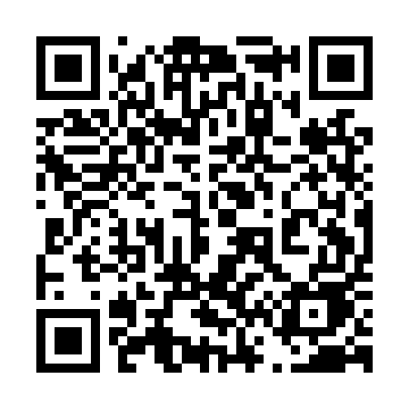 QR code for 461LUE
