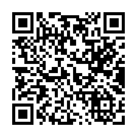 QR code for 461PKM