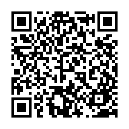 QR code for 462MEG