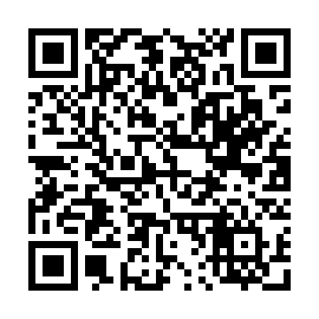 QR code for 462MSV