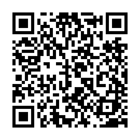 QR code for 462NNI