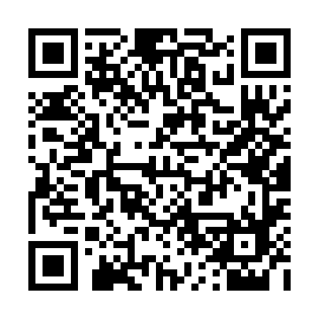 QR code for 462PNE