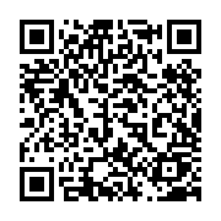 QR code for 462POU