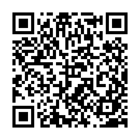 QR code for 462PUL