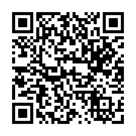 QR code for 463IFP