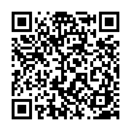QR code for 463MGC