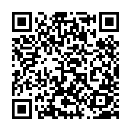 QR code for 463PNZ