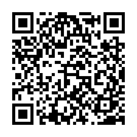 QR code for 463SUS