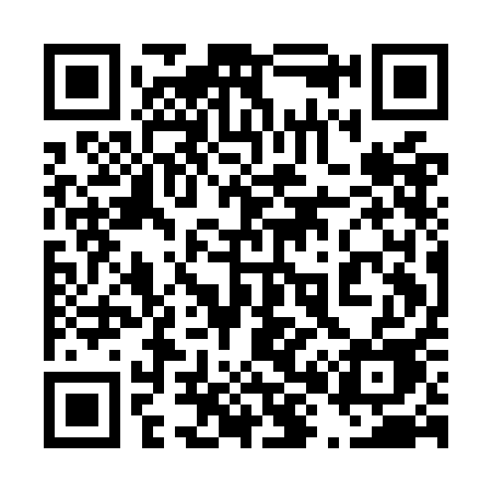 QR code for 481OAE