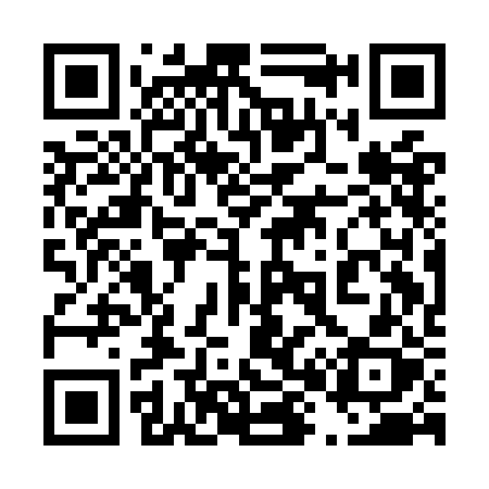QR code for 481OBX