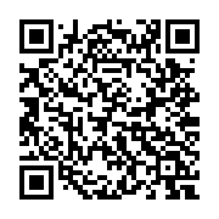 QR code for 482PTL