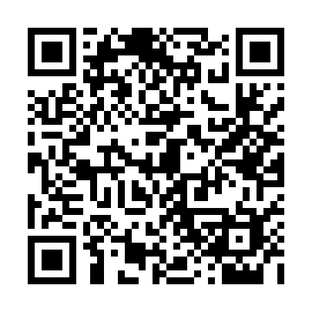 QR code for 486MSC