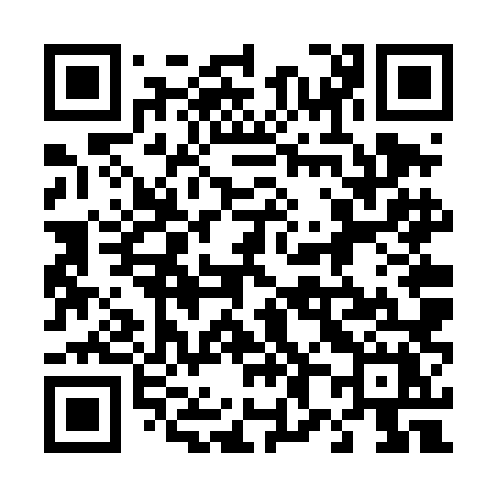 QR code for 486TLX