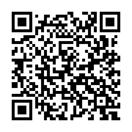 QR code for 487IDE