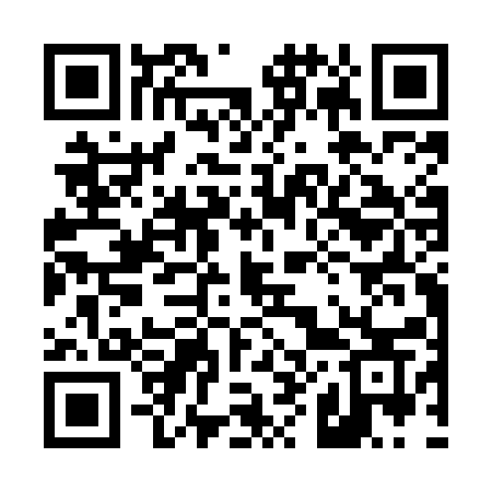 QR code for 487MAS