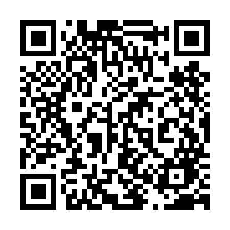 QR code for 489DMG