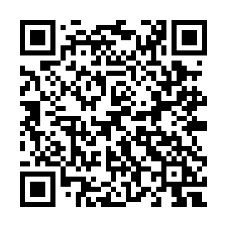 QR code for 489PDI