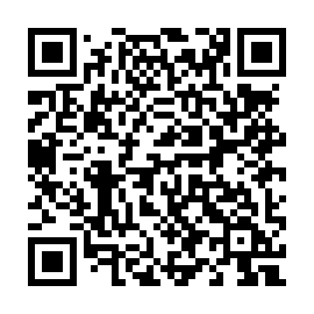 QR code for 491LYF