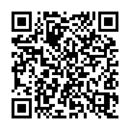 QR code for 491ZIS