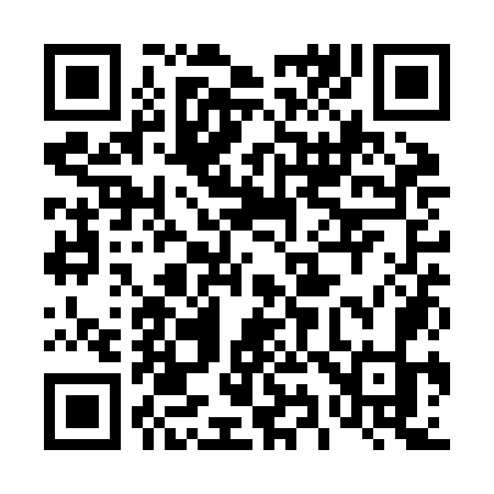 QR code for 491ZOK