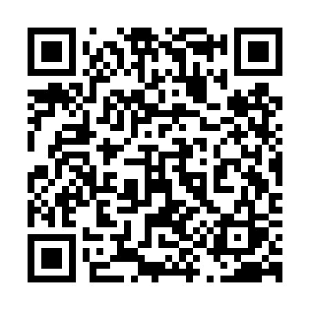 QR code for 493DSS