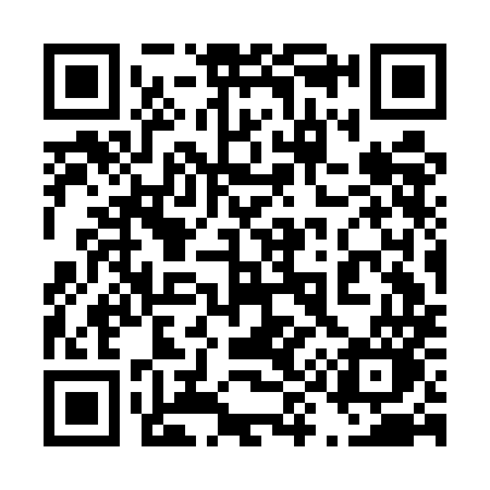 QR code for 493EMO