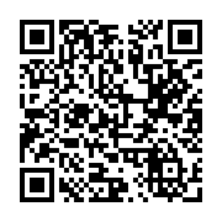 QR code for 493ICU