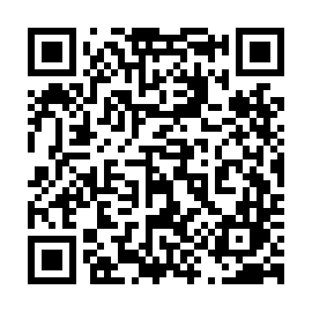 QR code for 493LDL