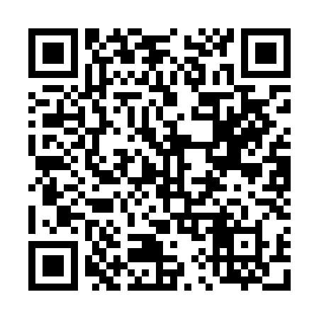 QR code for 493LLX