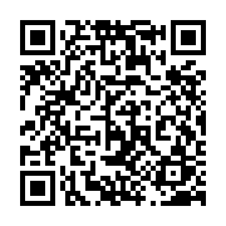 QR code for 493MCR