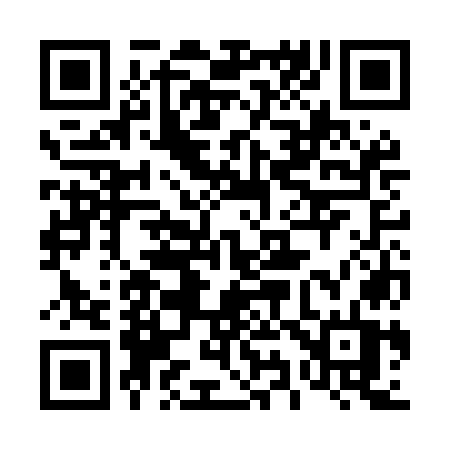 QR code for 493MOT