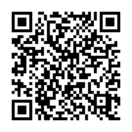 QR code for 493PAY