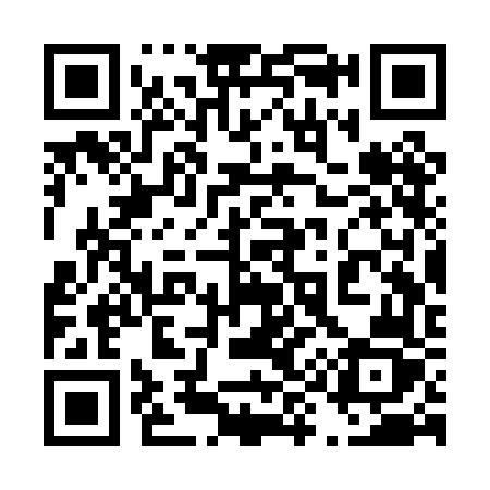 QR code for 493PFZ