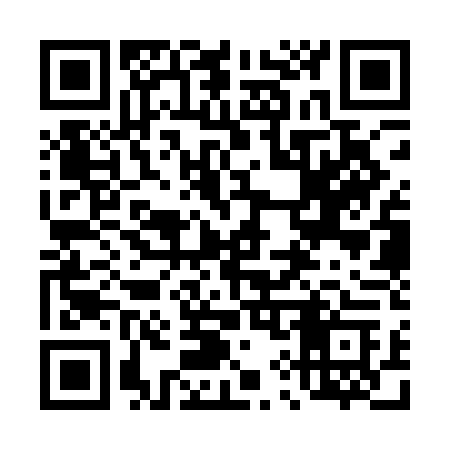 QR code for 493QDC