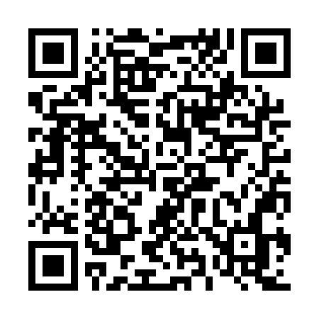 QR code for 493QNN