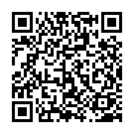QR code for 493QWQ
