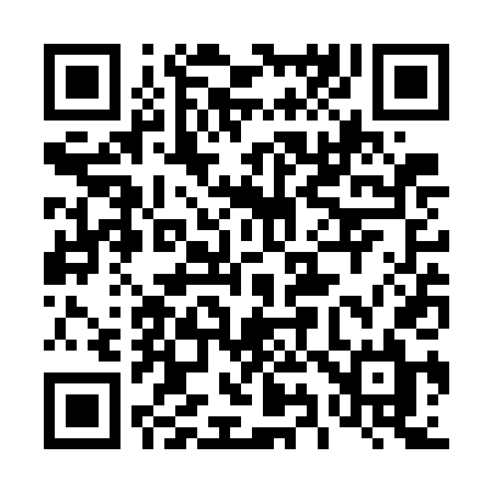 QR code for 493WDL